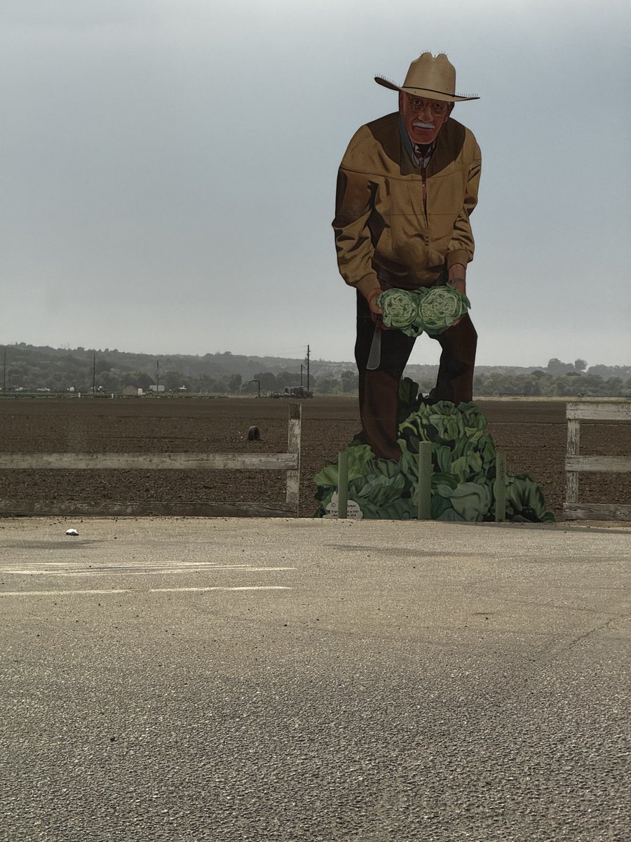 ChiChiGreenblat's tweet photo. The hands that feed us are often the ones we never see. Thank you to every farmer. 🌱🚜 https://t.co/HA63HHsyc9