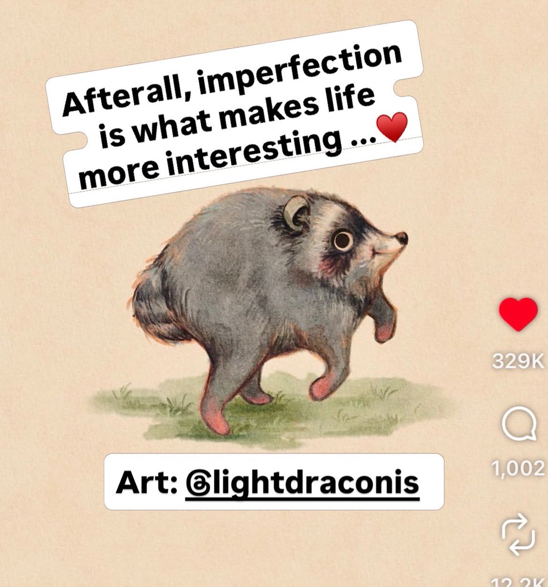 _Lizzie_Brooks_'s tweet photo. Jimothy broke from his busy press tour to do a photoshoot for us! What a morale boost even after a VERY rocky release week. If you resonate w/ the sentiment that "perfect's not the point," then you might like this book as much as Jimothy does. 🩵🐾 #jimothy #pb #kidlit #WritingCommmunity