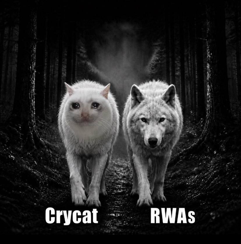 cryingcatrbh's tweet photo. @vladtenev CC + RWA's https://t.co/MsADHvi3oc