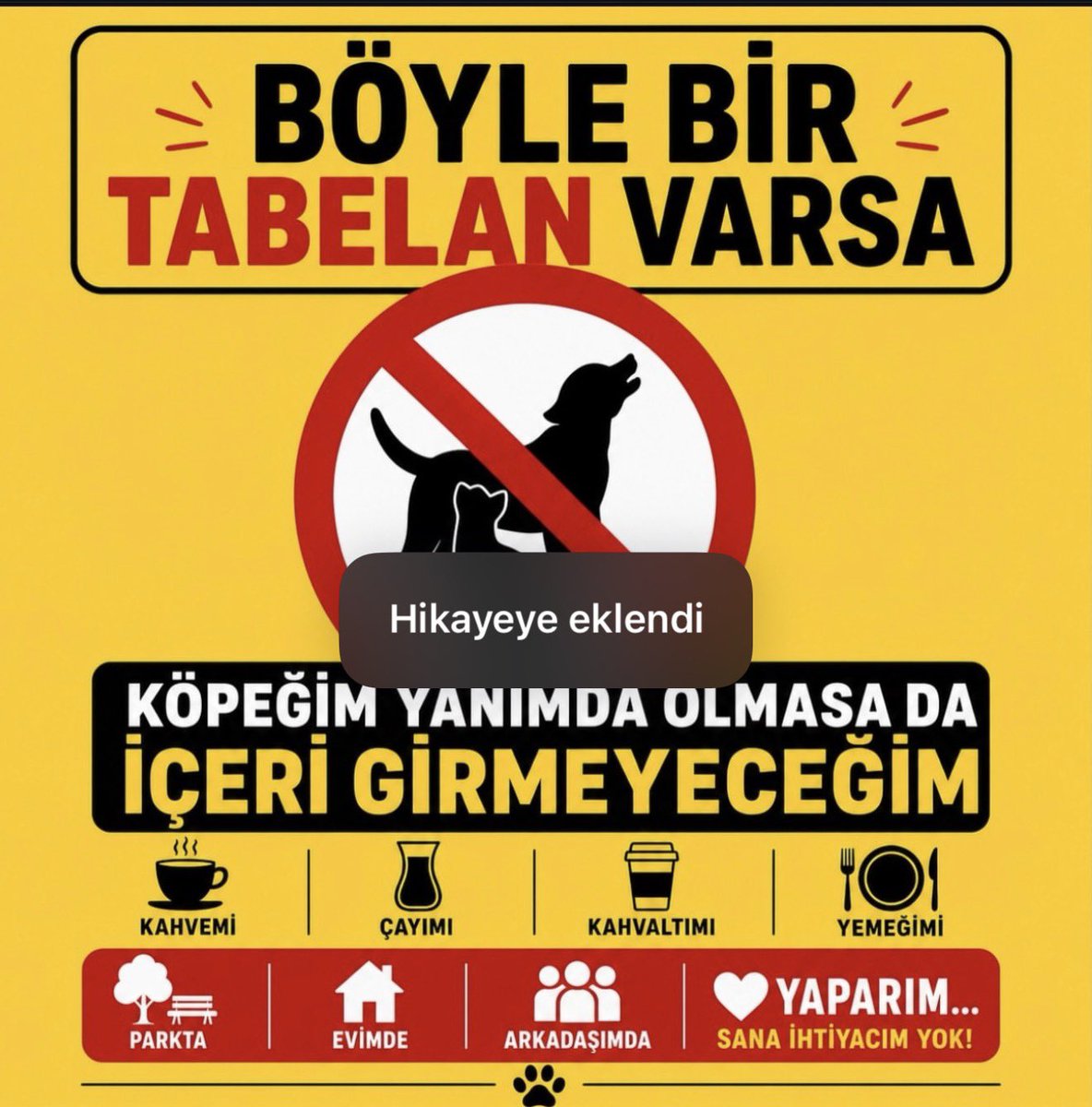 🇹🇷Emre Tilev tweet media