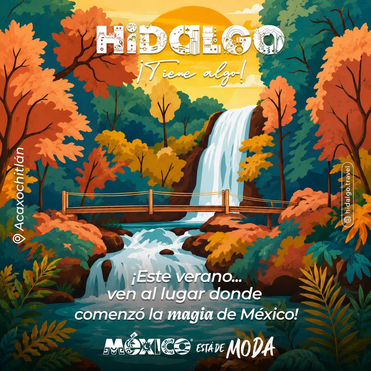 Visit México tweet media