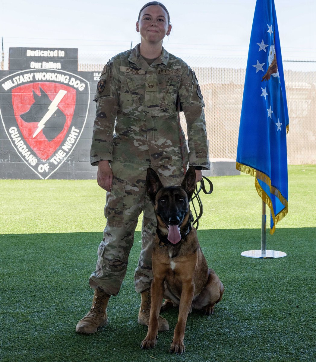 ppak9org's tweet photo. MWD Aman of the 49th Security Forces Squadron, Holloman AFB, NM, just retired after 750 hours of explosive detection and 5 Secret Service missions 🐾🎖️ https://t.co/YPmXJqgIJv #PPAK9 #K9 #K9Unit #MWD https://t.co/GUyzvEg1wl