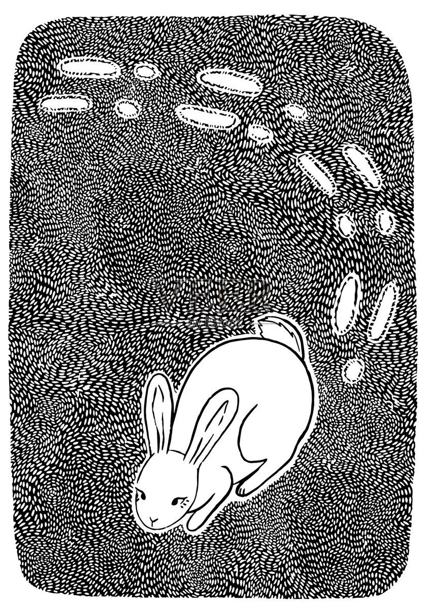 tjdrb3554's tweet photo. Spend 10 mins a day doodling, you might unlock a hidden creative skill. Small steps = big progress! https://t.co/CA4LdhKK5N