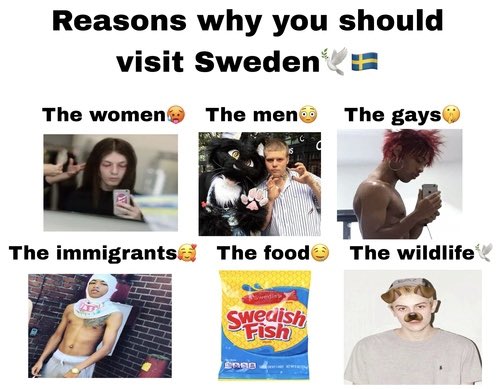 UGswedishfish's tweet photo. https://t.co/sQ3QNJMCE9