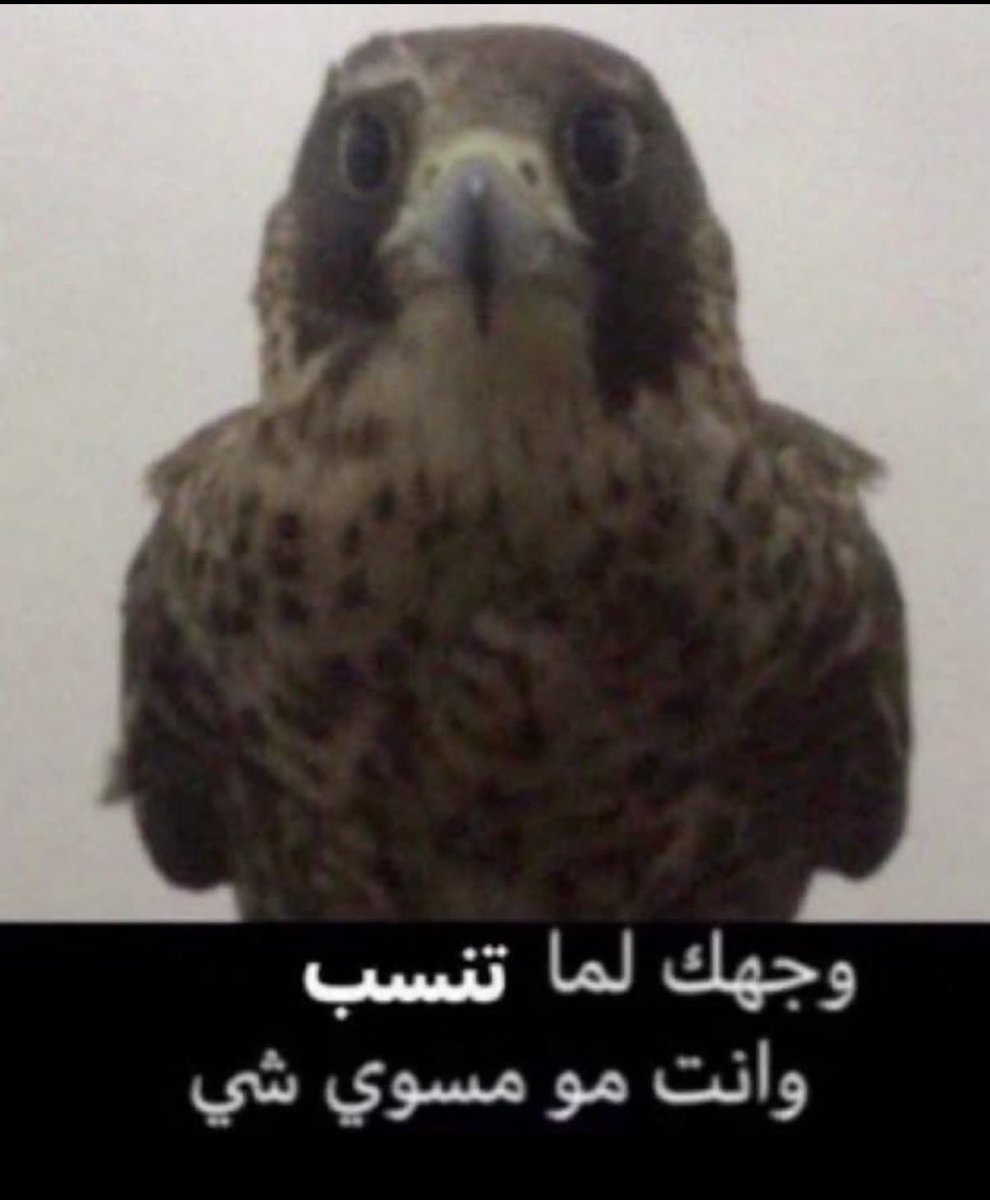 جولي 🇫🇷 tweet media