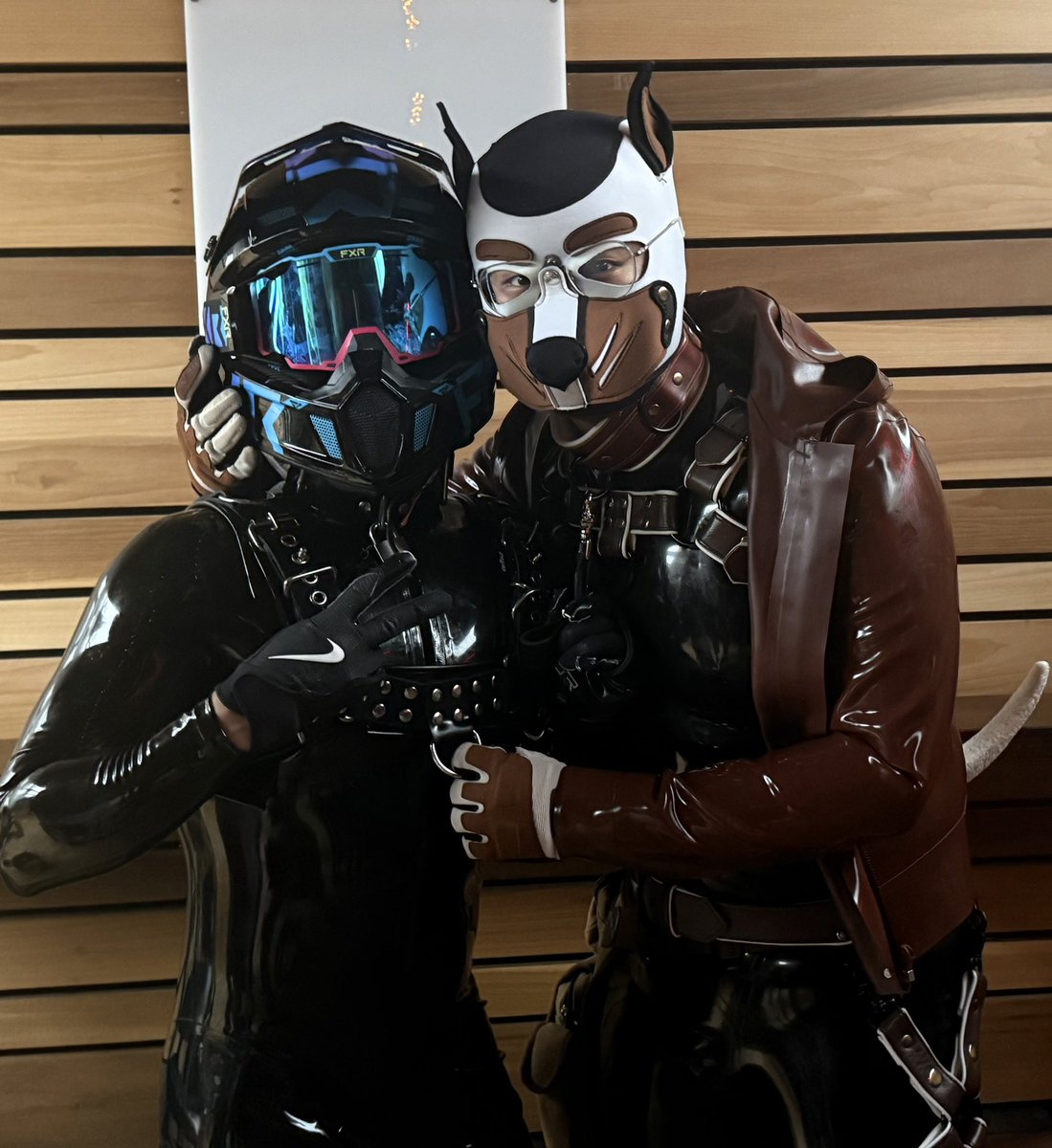 RogueZigs tweet picture