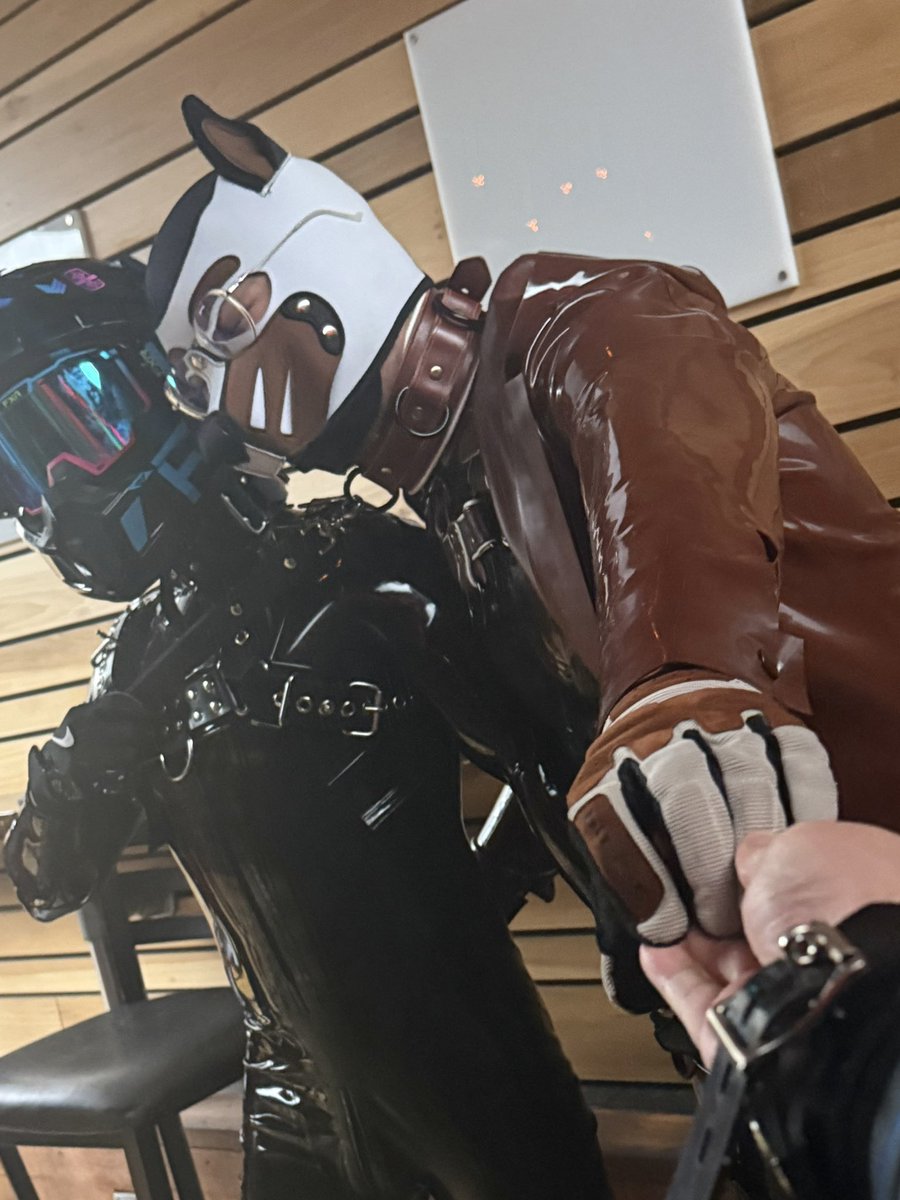 RogueZigs tweet picture