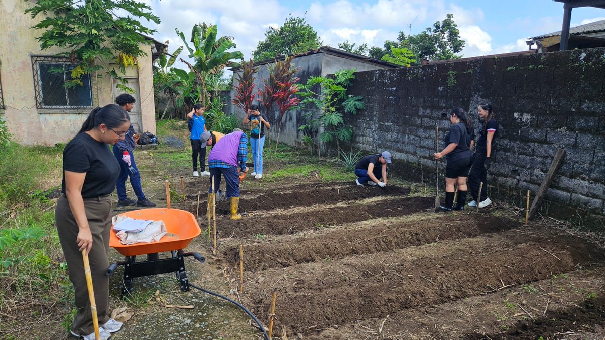 Agricultura_CZ4's tweet photo. #SantoDomingo | Capacitamos en diseño y elaboración de huertos orgánicos, en articulación con la Pontificia Universidad de Católica del Ecuador
Durante el taller se destacó la importancia de producir alimentos sanos y nutritivos. 🌱🥬
#GobiernoDelEcuador https://t.co/gR2MlkSRzL