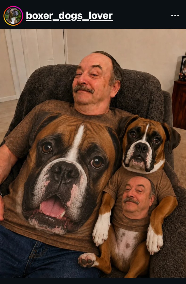 BoxerRescueVT's tweet photo. Follow us if you love Boxers! 
#Rescue #Foster #DogsAreFamily https://t.co/8wVjmVDbfU