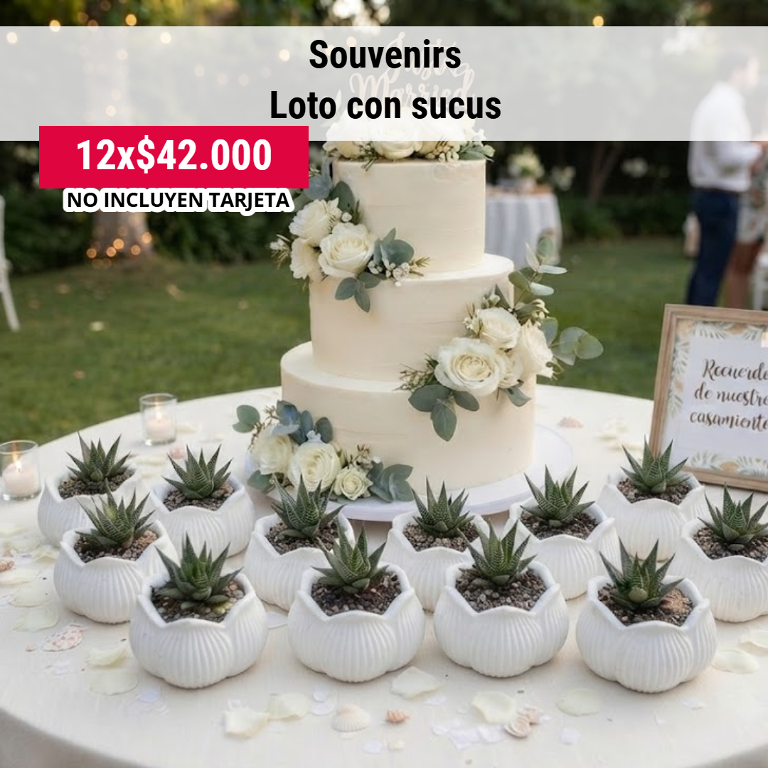 FLOWERSARTE's tweet photo. souvenirs con suculentas ... edición super limitida https://t.co/26WPsM7YLB
