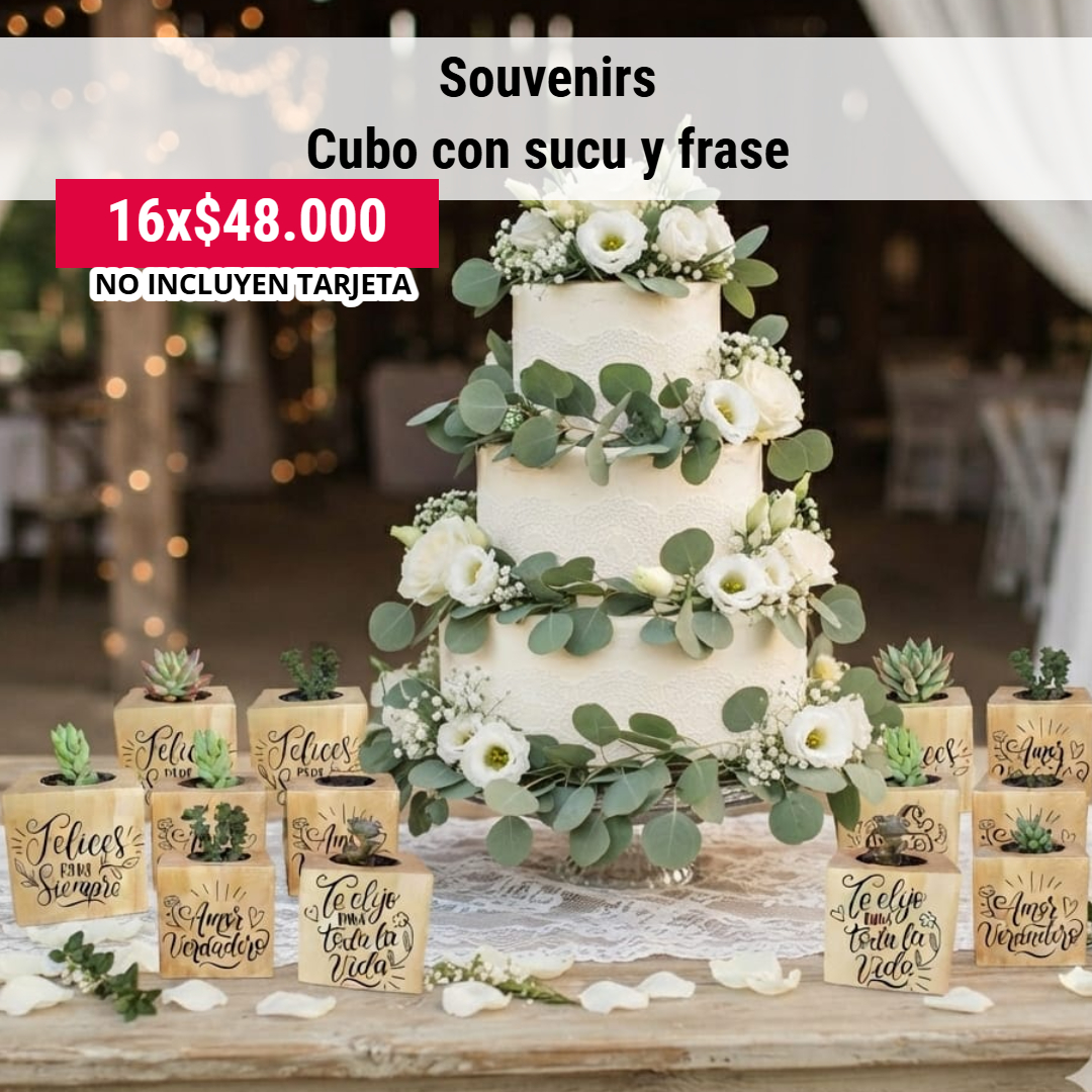 FLOWERSARTE's tweet photo. souvenirs con suculentas ... edición super limitida https://t.co/26WPsM7YLB