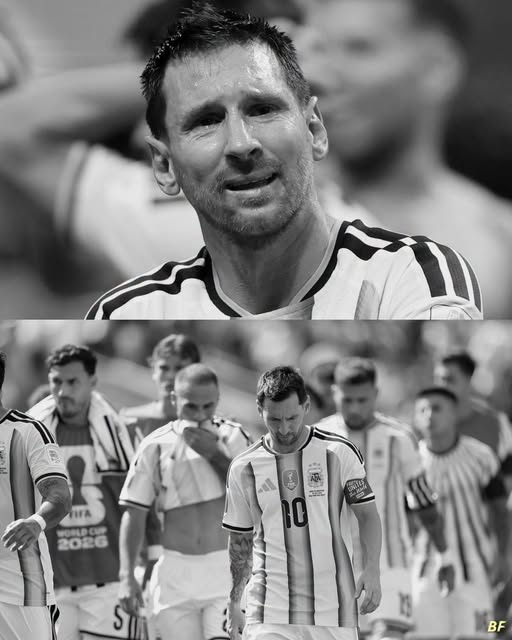 chagoalorcolin's tweet photo. ALI BABA Y LOS 40 LADRONES....!!!
@FIFA @FIFAWorldCup @MESSI10 @Argentina @AFASeleccionEN @CONMEBOL @ChampionsLeague
#ADIOSRATEROS
#TRAMPOSOS
#CERDOS
#LLORONES https://t.co/48pQCJ5JYi