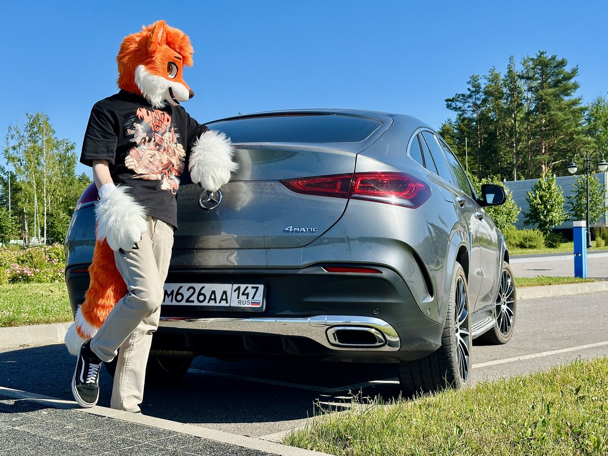 RayLiskov's tweet photo. this is what a happy fox looks like 🦊 https://t.co/av98NgAXk8