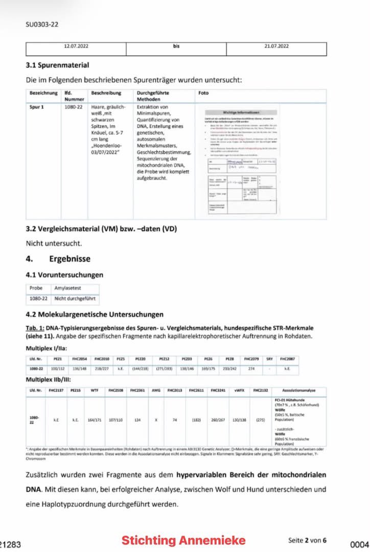 AvanStraaten's tweet photo. Vier jaar lang heb ik gewerkt aan een onderzoek naar wolvenhybridisatie. Daarbij werd ik geholpen door klokkenluiders, werkzaam voor diverse natuurorganisaties, maar die liever op de achtergrond blijven, omdat zij anders hun baan kwijt kunnen raken. Deze onmisbare hulplijnen besloten mij te helpen, omdat ze fel tegen de wolf zijn, veel wolven niet schuw zijn, sommige er niet uitzien als een echte wolf en zij bovendien geen vertrouwen hebben in BIJ12 en hun bevriende wolvenclubjes, omdat ze niet transparant zijn en alles onder de pet houden en liegen dat ze barsten.🤡

We hebben veel DNA verzameld, waaronder keutels, wolvenharen en monsters van door wolven aangevallen of aangevreten wild en landbouwhuisdieren, zowel in Nederland, Duitsland, België en Polen! De DNA-uitslagen die we ontvingen waren in veel gevallen bijzonder en riepen meer vragen op dan ze beantwoordden. Daarnaast heb ik vele Woo-documenten en andere gevoelige informatie verzameld die tal van tegenstrijdigheden blootleggen. Ook heb ik Staten- en Kamervragen laten indienen, waarvan de beantwoording zeer opmerkelijk was.

Hier kunt u de uitslag lezen van een DNA-onderzoek naar de haren die zijn aangetroffen op het hek van Nationaal Park De Hoge Veluwe.

Het forensisch laboratorium ForGen concludeerde dat er DNA is gevonden van een hondachtige, een vrouwtje. Een raszuivere wolf is volgens het rapport vrijwel uitgesloten. Hoewel een wolf-hondhybride op basis van een deel van het DNA niet volledig kon worden uitgesloten, wijst het mitochondriale DNA duidelijker op een huishond. De onderzoekers geven bovendien aan dat de beschikbare DNA-sporen beperkt waren, maar dat dit de eindconclusie nauwelijks beïnvloedt. ( LET OP FOTO’S ZIJN TER ILLUSTRATIE!)

Volgens de overheid en de betrokken wolvenorganisaties is ForGen een laboratorium van discutabele kwaliteit.

In de tussentijd liet de Provincie Gelderland, naar aanleiding van een motie van Statenlid Eric Kemperman in 2023-2024 een zogenaamd aanvullend onafhankelijk onderzoek naar wolvenhybridisatie uitvoeren. Van die onafhankelijkheid was echter weinig sprake. De ambtenaren stapten rechtstreeks naar BIJ12 voor ondersteuning en het INBO ( Instituut Natuur en Bosonderzoek België) mocht het laboratorium uitzoeken. Uiteindelijk viel de keuze op het Sloveense onderzoeksinstituut DivjaLabs.🙈

WENR/WUR selecteerde 11 monsters, waarvan er uiteindelijk slechts 9 bruikbaar waren. Opmerkelijk was dat het DNA van onder andere een dode wolf uit Het Nationale Park De Hoge Veluwe ineens niet bruikbaar was. Dat riep bij mij gelijk vragen op, zeker omdat tegenwoordig zelfs uit zeer oud materiaal, zoals een veenlijk, nog DNA kan worden geanalyseerd. Wat mij betreft was ook dit onderzoek weer een verspilling van belastinggeld. Dat rapport had van mij linea recta de open haard in gedonderd mogen worden. 

Ik heb alles op een rij gezet de afgelopen maanden. Wat mij betreft is het nu aan de overheid om mijn bevindingen en alle tegenstrijdigheden eindelijk eens uit te leggen. Daarom ben ik bezig met een uitgebreide set Kamervragen. Deze stap kan en wil ik niet overslaan. Ik ben benieuwd hoe de betrokken ambtenaren, inclusief BIJ12, zich hier straks weer uit gaan lullen. En ja, ik verwacht dat ze dat opnieuw zullen proberen. Alleen deze keer ligt alles zwart op wit. Iedere uitvlucht, iedere draai en iedere halve waarheid zal ik naast de feiten inclusief de documenten leggen. En nee die documenten heb ik nog nooit met u gedeeld. En dan mag Nederland zelf beoordelen wie de waarheid spreekt!

Wordt vervolgd! 

Annemieke van Straaten

1/2⬇️ #wolf