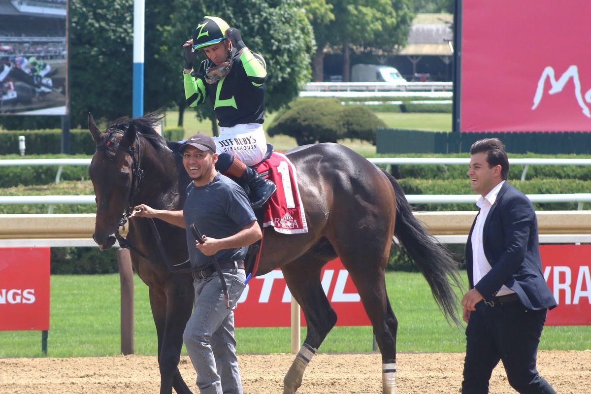 America’s Pastime Stables tweet media