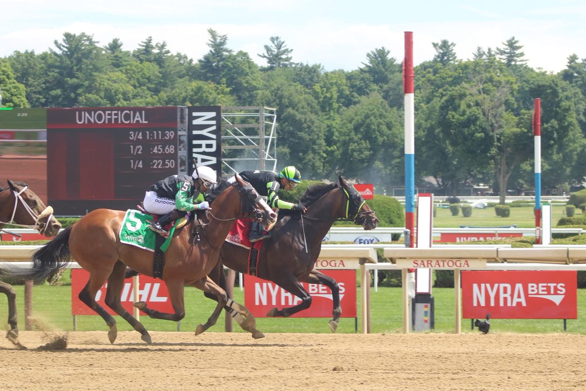 America’s Pastime Stables tweet media