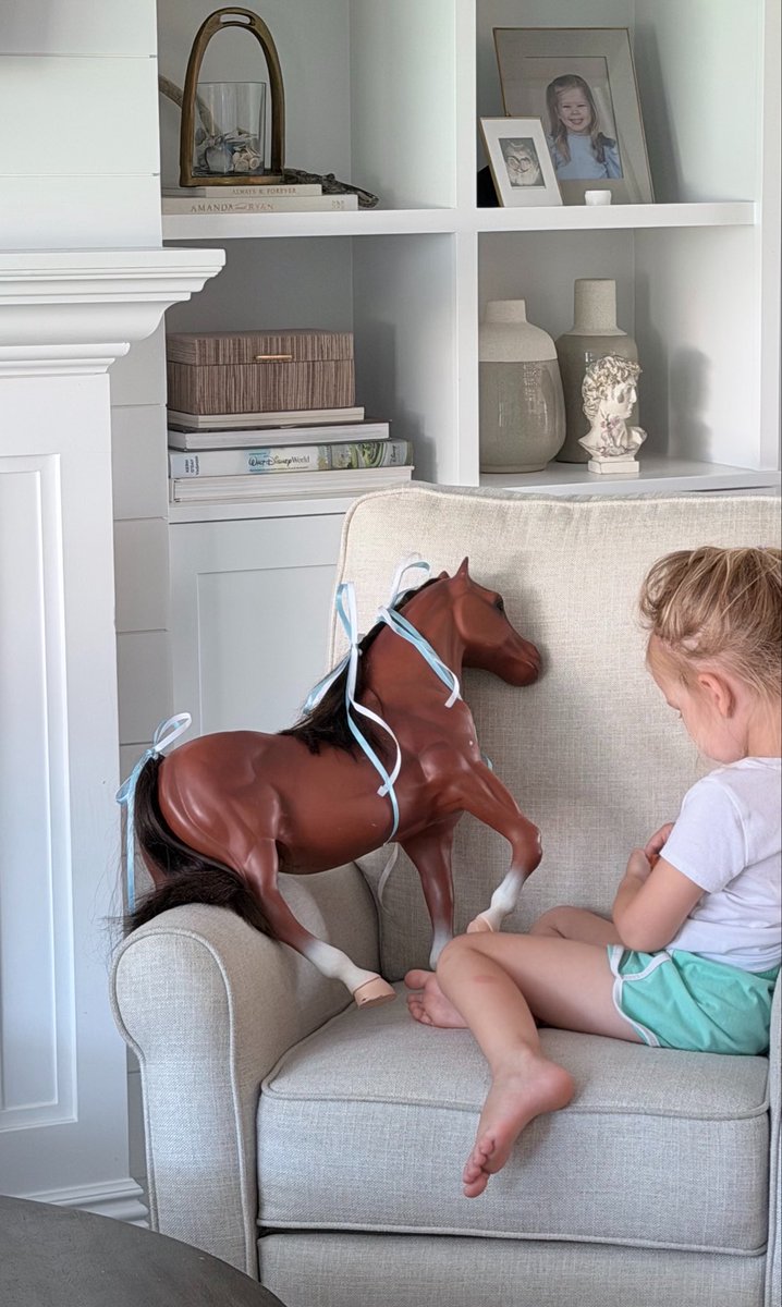Horse tweet media