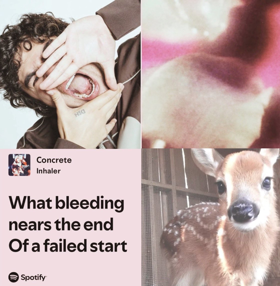 deersosoffical's tweet photo. deercalum as concrete !! https://t.co/9aiugz4R1h