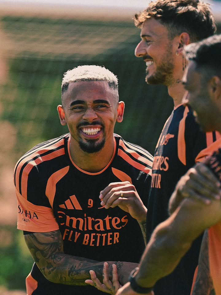 Backyard Arsenal ❤️ tweet media