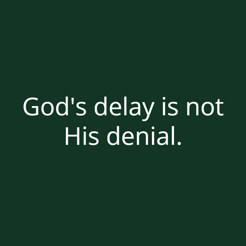 Devotions tweet media