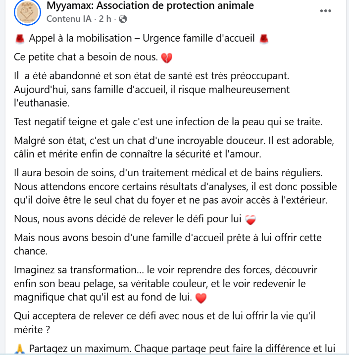 justineducern's tweet photo. Cette association recherche de tte urgence UNE FAMILLE D'ACCUEIL pour sortir de la fourrière de Ploeren près de Vannes ds le 56, cette petite minette abandonnée. afin de la sauver et soigner
Ts les frais +nourriture et litière pris en charge par cette asso. Tel :06 12 53 76 19 https://t.co/zT7oZRgdXh