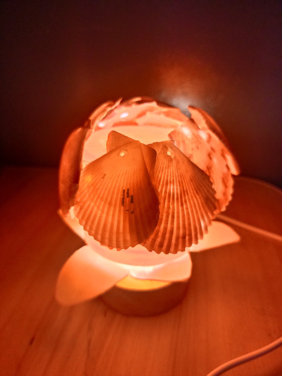 yangmal32368818's tweet photo. Turn an old mason jar + fairy lights into a cozy bedside lamp  No fancy tools needed—super quick DIY! https://t.co/IMYlcOaUbt