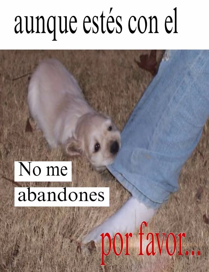 bulletss6's tweet photo. jajaja q chitoso ete meme 🤣🤣🤣 https://t.co/bzHCLITqJJ