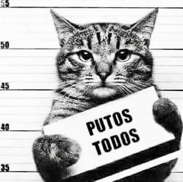 CurenoMan's tweet photo. @mcelpmqop @Argentina @afa @SEFutbol Pinches equipo argentino de mierda, presumidos y manones . 
Que bueno que perdieron 🤣😂🤣😂🤣 https://t.co/9ESeTwXGCk