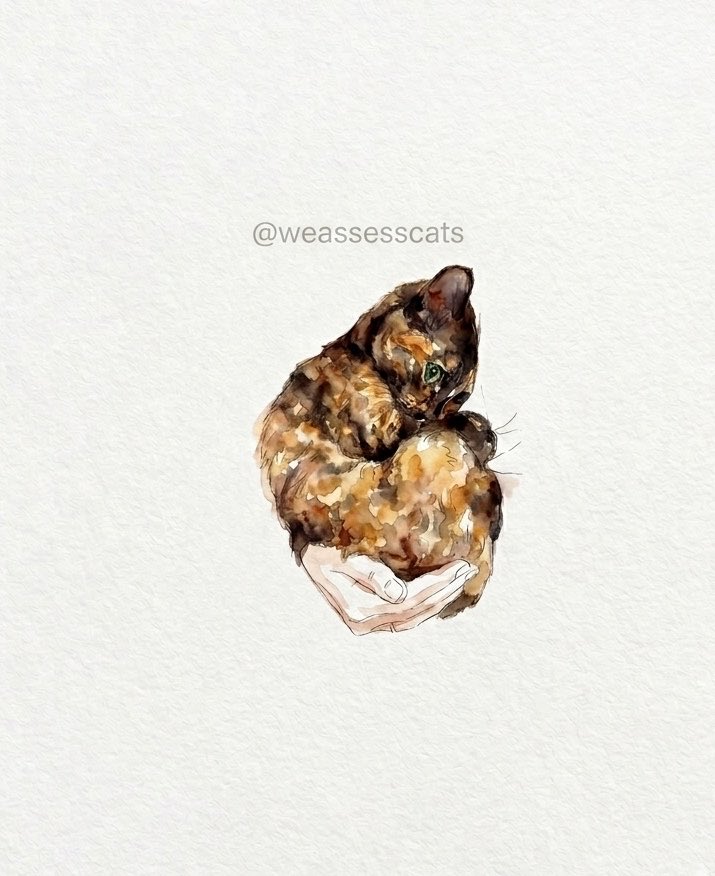 WeAssessCats's tweet photo. baby is babying https://t.co/J4yLPOz6gv