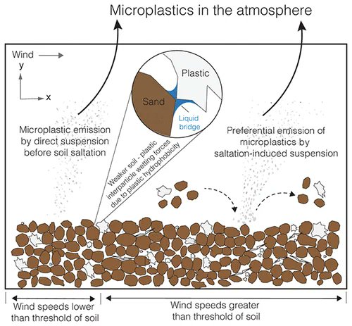 LabA60IST's tweet photo. Preferential Emission of #Microplastics from Biosolid-Applied Agricultural Soils: Field Evidence and Theoretical Framework | Environmental Science &amp; Technology Letters https://t.co/u1O3bFgXxN https://t.co/UHv4DGVA7V