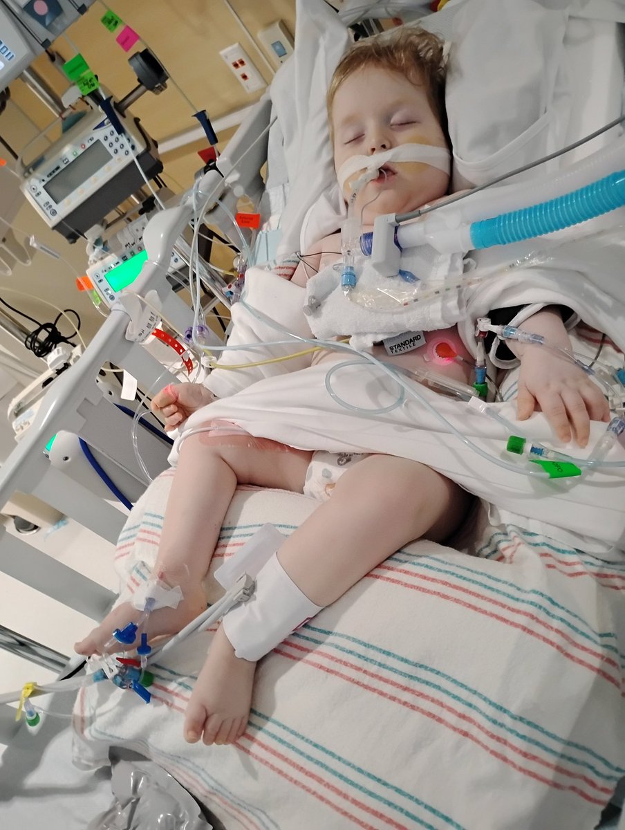 RustySuretteTV's tweet photo. ❤️ A Bryan family could use our community’s support.

Summer Herrick and her family have been by their little boy Bronsyn’s side since May 17, when he was admitted to the PICU after becoming critically ill with rhinovirus and parainfluenza.

Bronsyn, who was born prematurely and has faced medical challenges since birth, has been fighting every step of the way. After weeks in the hospital, his family was faced with an unimaginable decision: bring him home on hospice or move forward with a tracheostomy in hopes of giving him more time to heal. They chose to keep fighting alongside their little boy.

With months away from work, mounting medical and household expenses, and two other children preparing to head back to school, the financial strain has become overwhelming.

If you’re able to help, no matter the amount, it could make a meaningful difference for this local family. And if you’re not in a position to give, please consider sharing their story and keeping Bronsyn in your prayers. ❤️🙏

You can donate here: https://t.co/Z5ZF4uygGu

Please join me in sending love, strength, and prayers to Bronsyn, Summer, and their entire family as they continue this difficult journey. 💙