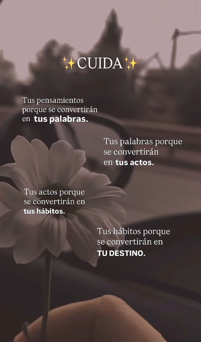 PauloCoelhoDice's tweet photo. https://t.co/bXThp2v2Mu