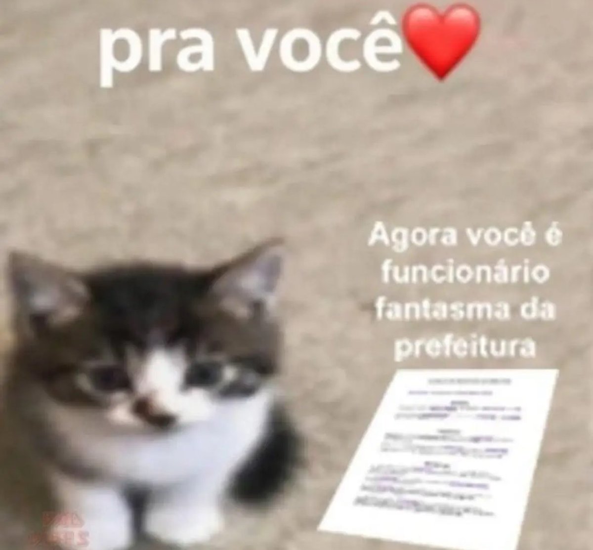 shitpostverdade's tweet photo. https://t.co/9X0Mktb5j9