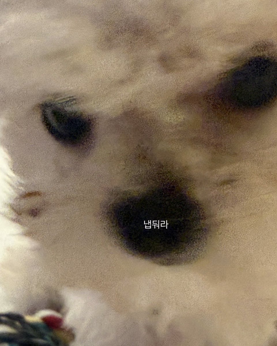 yunli ⛧ tweet media