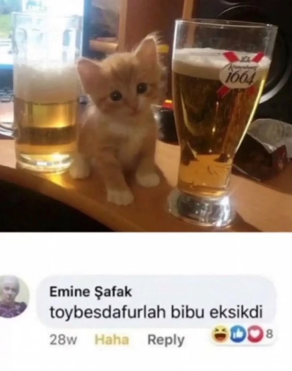 defne🌱🍷 tweet media