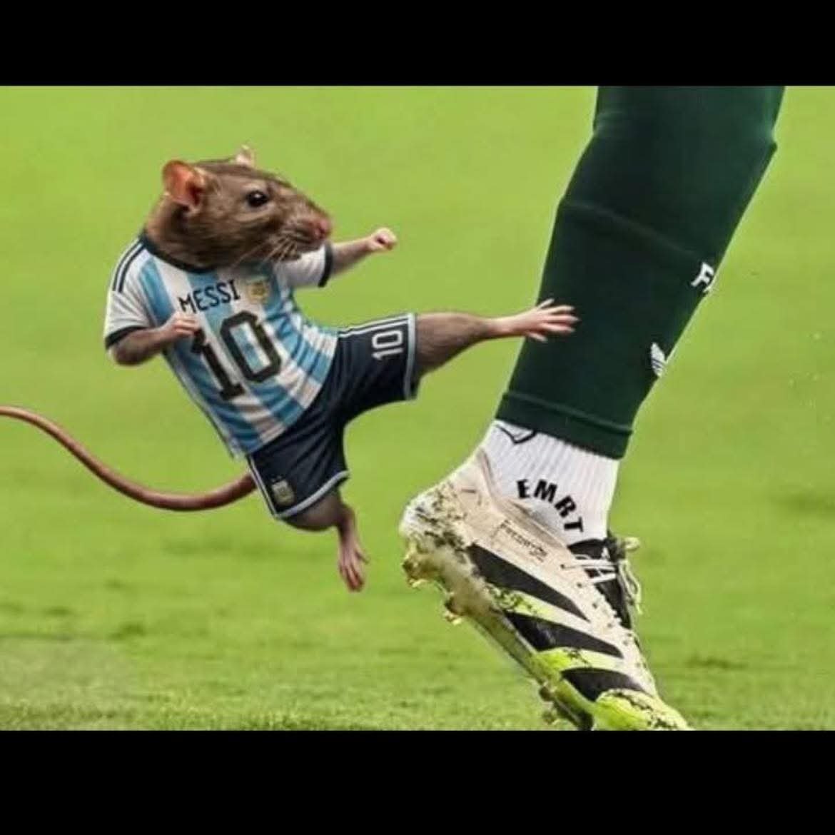 RitoMoy33's tweet photo. @Messias30_ No gracias ya fue mucho de robos de la RATA mierdantina messi https://t.co/sjUV3unhKV