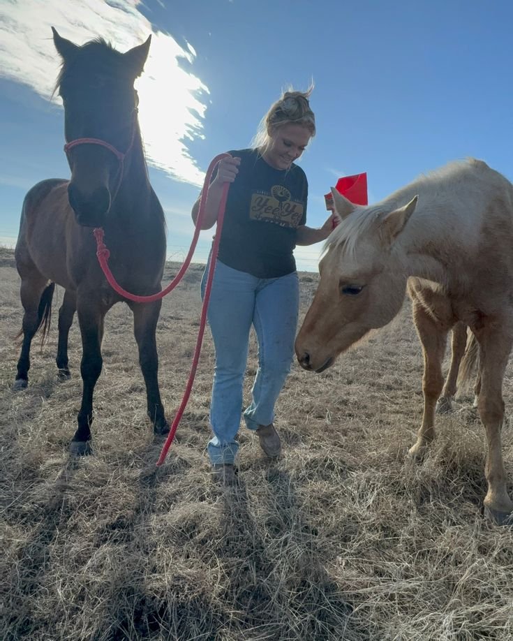 MariaSmith4yr8's tweet photo. Do you love your horses like they're your kids? 🐴💖 Share your thoughts and experiences with me?! #horsecare #equinebond 🌟 #Farmgirl #Rancher https://t.co/1q8YgSPslZ