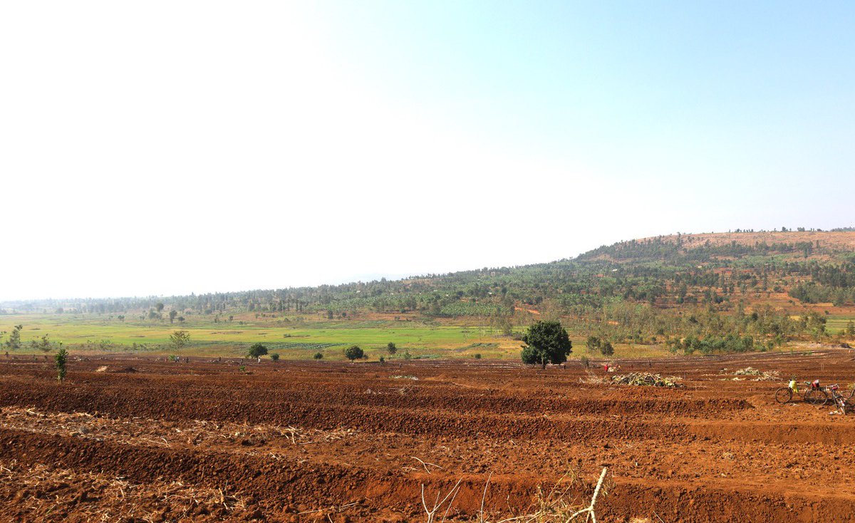 Rwanda Agriculture & Animal Resources Devpt Board tweet media