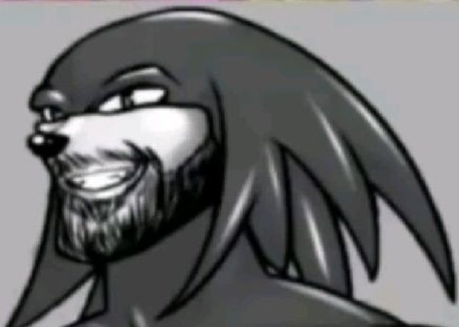 KnucklesHead94's tweet photo. @HakzoPhobe YES https://t.co/hfrLitiyCz