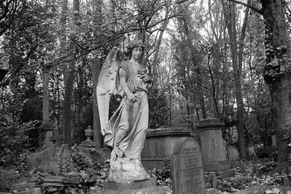 ObsidianUrbex's tweet photo. The white marble angel of Highgate
π· Zenit-E π Mir-1b 37mm
ποΈ Kosmo Agent Shadow
Highgate Cemetery, London
#Highgate #FilmPhotography #London https://t.co/dFHw2WRhiy