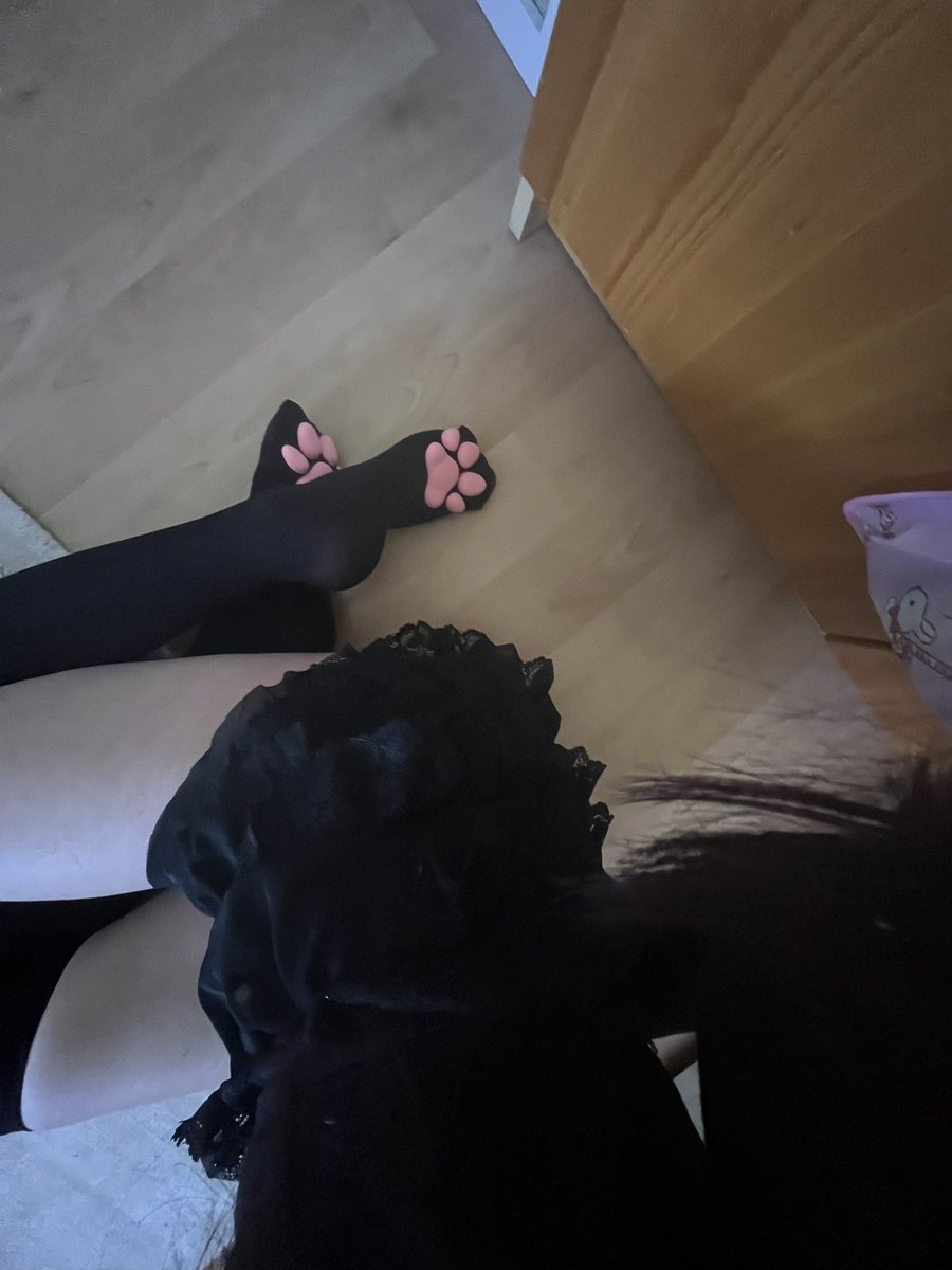 cupciky's tweet photo. paw paw :3 #egirl https://t.co/BWvmgZlDRh