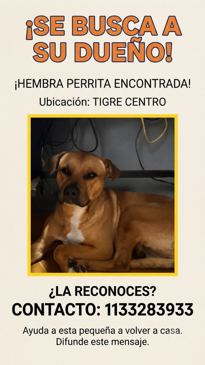 MaggeDelbene's tweet photo. Se busca a su familia!!! https://t.co/i5DqVHpPHp