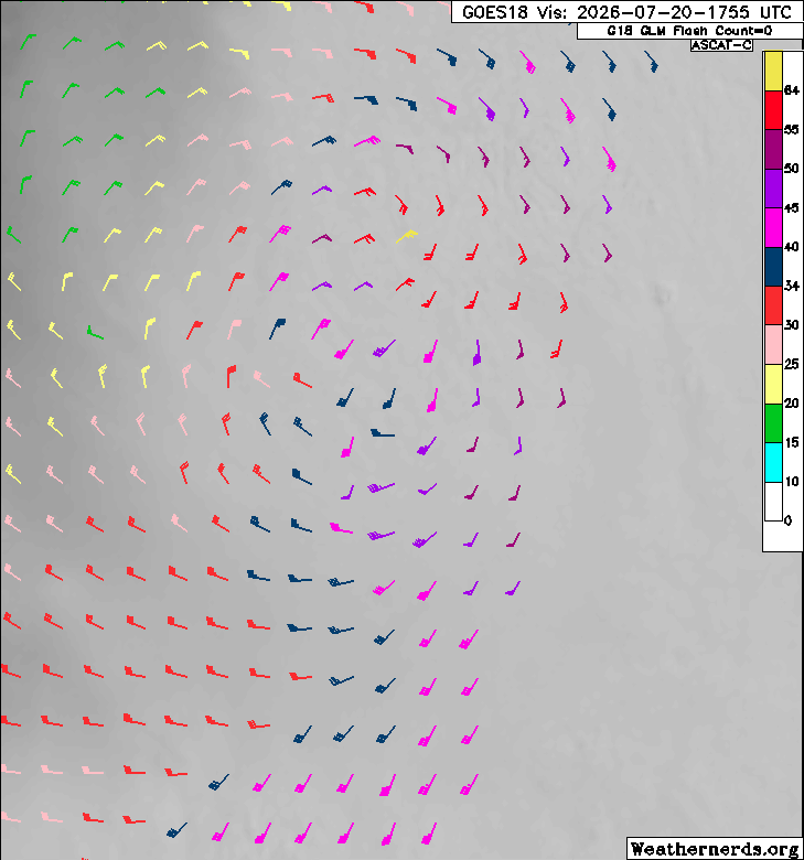 maplemagic27's tweet photo. Tropical Storm #Fausto was given a 55 kt fix at 18z, though a recently received 1752z ASCAT-C pass suggests it was likely stronger at 18z. Accounting for undersampling, regressed 25km res windspeeds via Chou et al. (2013) yielded 70.6 kts, and a 65 kt barb was present on 12.5km. https://t.co/AUNLqGGwWs
