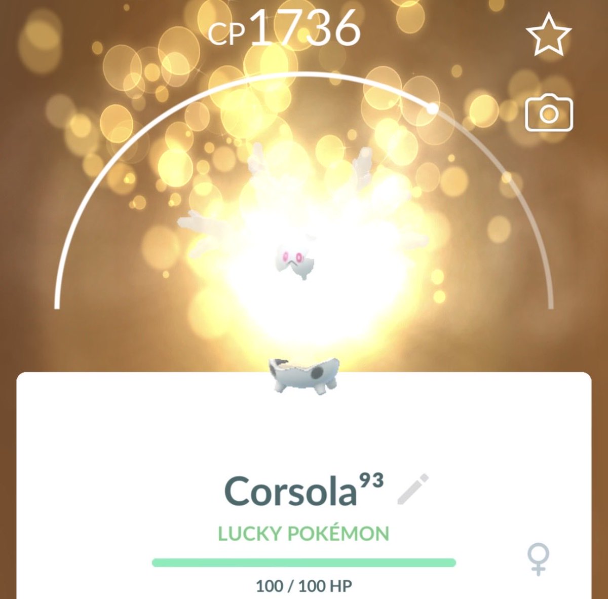 disisausername1's tweet photo. @NianticHelp Could you please calm down the intense light in the background when a pokemon gets lucky? I would like to see the pokemon https://t.co/GTMZ4ouWCb
