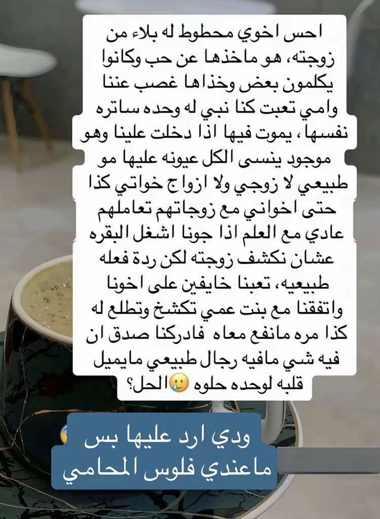 sAmr|سمر tweet media