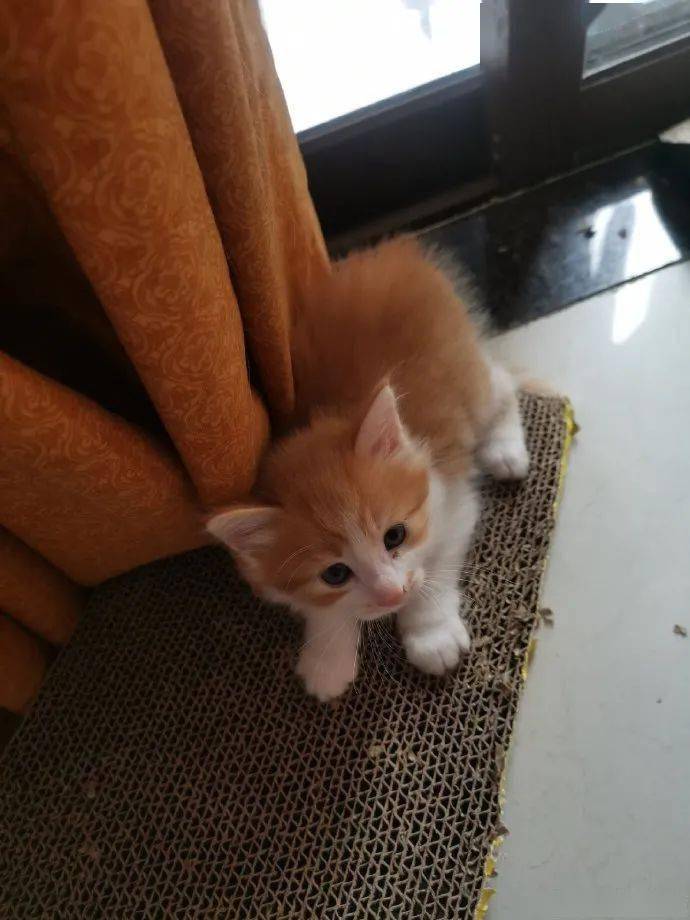 Leechooop123's tweet photo. Just found a 5-year-old notebook with my messy teenage poems – never thought that awkward, starry-eyed kid would now be this happy, with a cozy apartment and a cat that steals my socks. Growth hits different when you look back https://t.co/C4bdrSe4GG