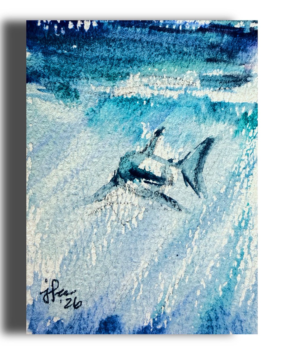 JennartLeonard's tweet photo. Shark week is upon us.🦈

Grab this lil' scary shark #watercolor painting now while it's still available.

https://t.co/CLGSAbYS2O

https://t.co/fnHXm1Fe3C

#sharkweek #deepbluesea #bluewatercolor #aceos https://t.co/ktGoOGYjl2