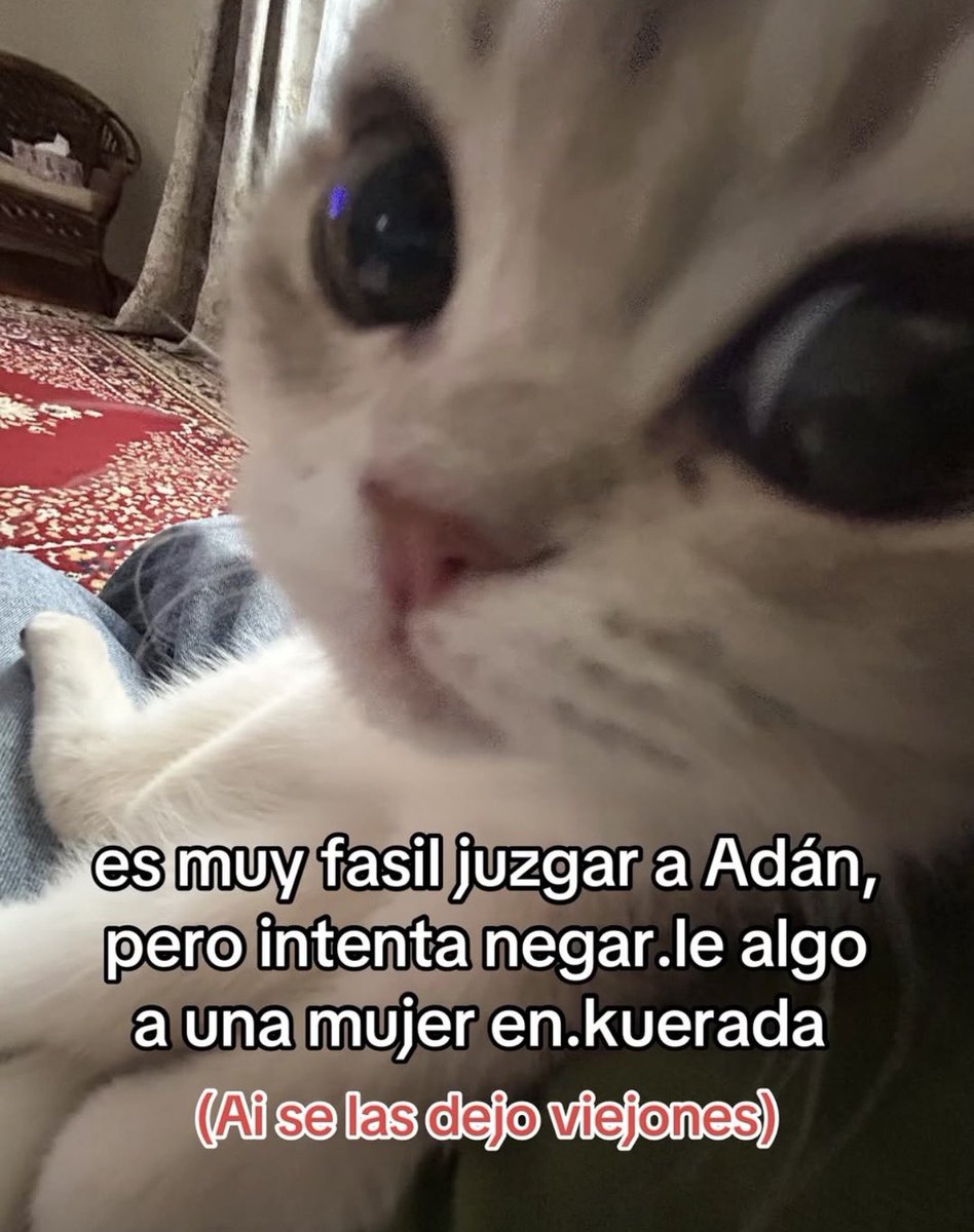 MundoDeBigotes's tweet photo. https://t.co/lj1w1F7Ypn