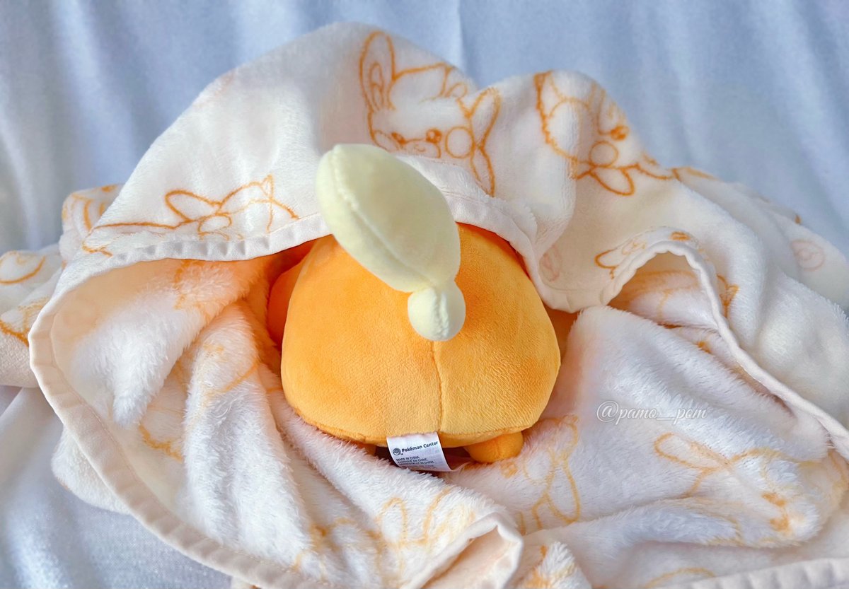 pamo_pom's tweet photo. まだあさじゃないもん…💤 https://t.co/03XUYi2uhH