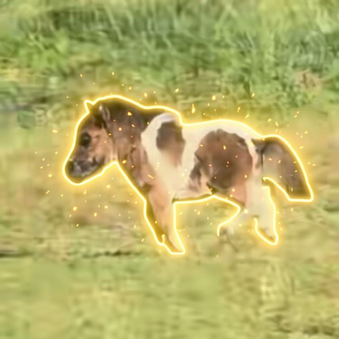TokenRonger's tweet photo. Jimothy just ran to 9 mill and I just found the next short spine animal runner on tiktok 

Lil Sebastian

 there is a mini horse that they are calling Lil Sebastian that is also a little dwarf type that is going viral

https://t.co/O0CCdCajLk https://t.co/OX0I2hVkgu